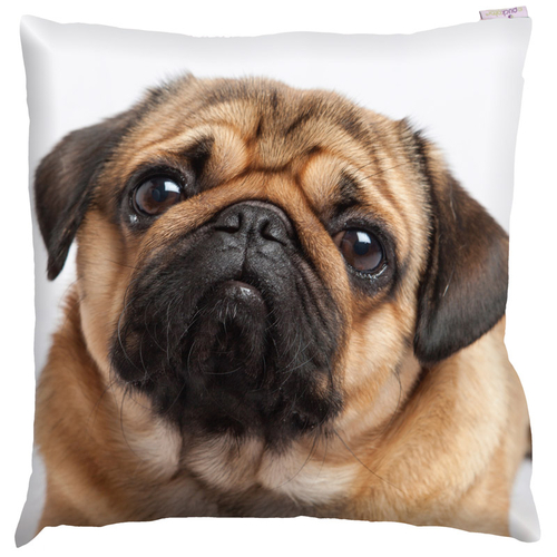 Decorative Pug Print Cushion