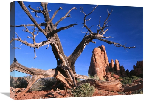 Global Gallery GCS-452032-1824-142 18 x 24 in. Snag At Fiery Furnace L