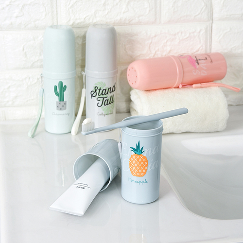 Portable Cactus Pineapple Printing Cylinder Solid