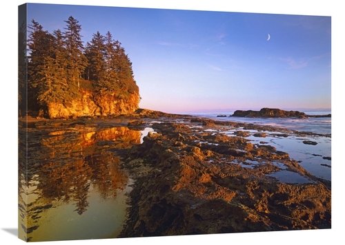Global Gallery  24 x 32 in. Tidepools Exposed at Low Tide, Botanic
