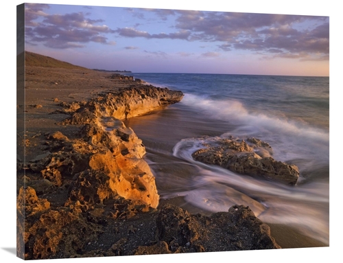 Global Gallery GCS-396222-2835-142 28 x 35 in. Beach at Dusk, Blow