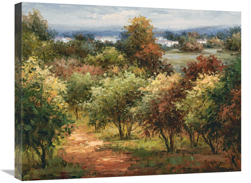 Global Gallery GCS-132573-2228-142 22 x 28 in. Sun Dappled Country Roa