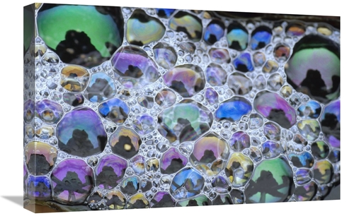 Global Gallery GCS-451968-1624-142 16 x 24 in. Detail of Rainbow-Color