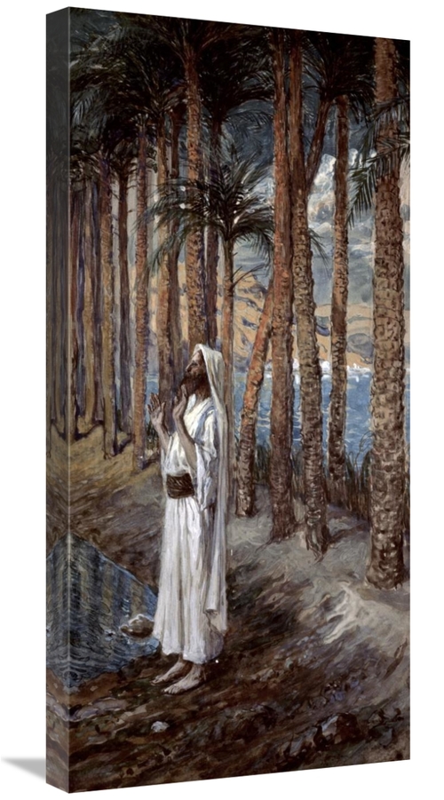 Global Gallery GCS-280451-30-142 30 in. Palm Tree Art Print - James Ti