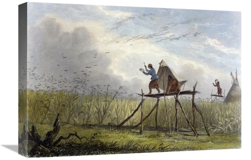 Global Gallery GCS-277461-22-142 22 in. Guarding the Corn Fields Art P