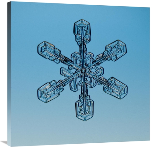 Global Gallery GCS-397280-3636-142 36 x 36 in. Snowflake Seen Through 