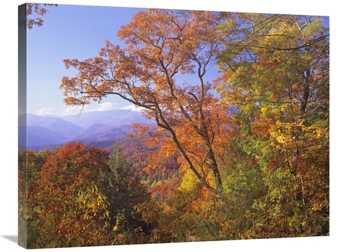 Global Gallery GCS-396599-2432-142 24 x 32 in. Great Smoky Mountains F