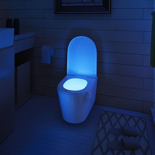 Motion Sensor LED Toilet Night Light