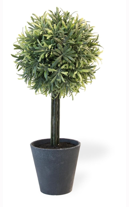Boston International MGC19117 7 Dia. x 16.5 in. Rosemary Topiary Home 