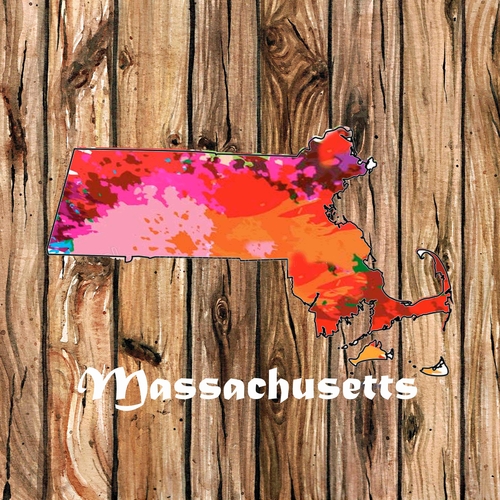 State Of Massachusetts A 3 Inch Diameter Patches