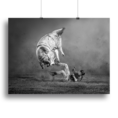 Rodeo Bull Canvas Print or Poster