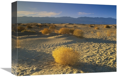 Global Gallery GCS-396646-1216-142 12 x 16 in. Mesquite Flat Sand Dune