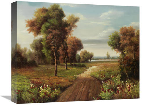 Global Gallery GCS-132426-1620-142 16 x 20 in. Fisherman Trail Art Pri