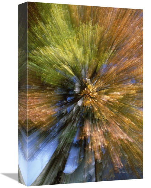 Global Gallery GCS-398471-1218-142 12 x 18 in. Autumn Foliage, Abs