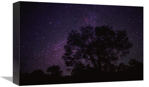 Global Gallery GCS-396047-1218-142 12 x 18 in. Starry Sky with Silhoue