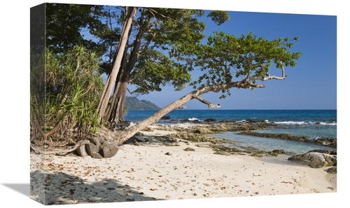 Global Gallery GCS-453651-1218-142 12 x 18 in. Coastal Rainforest,