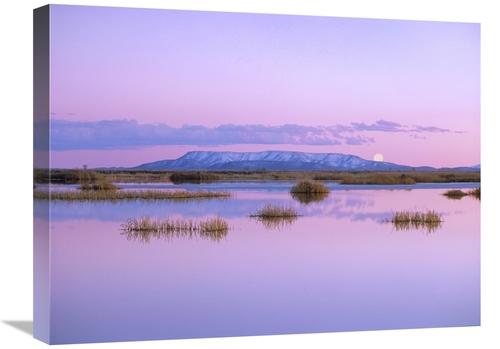 Global Gallery GCS-397145-1824-142 18 x 24 in. Full Moon Rising Over S