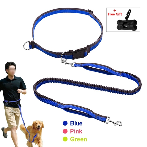 Hands Free Dog Leash For Running Walking Elastic