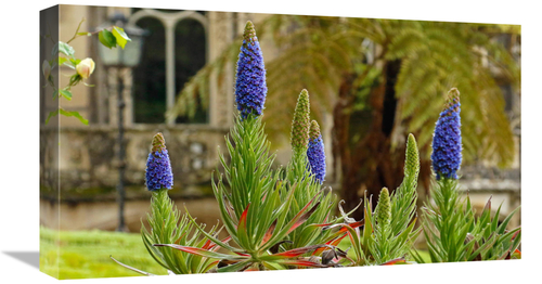 Global Gallery GCS-486612-22-142 22 in. Sintra Gardens Art Print - Vic