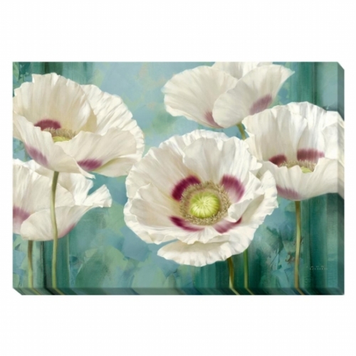 Artistic Home Gallery 1624319G Tasmanian Poppies I Canvas Art - 16 in.