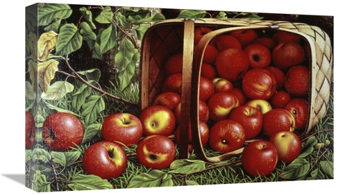 Global Gallery GCS-279490-22-142 22 in. Basket of Apples Art Print - L