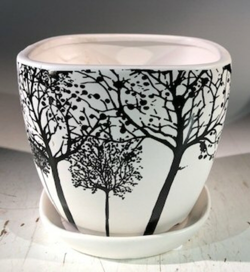 Tree Silhouette Bonsai Pot - SquareWith Attached Humidity / Drip