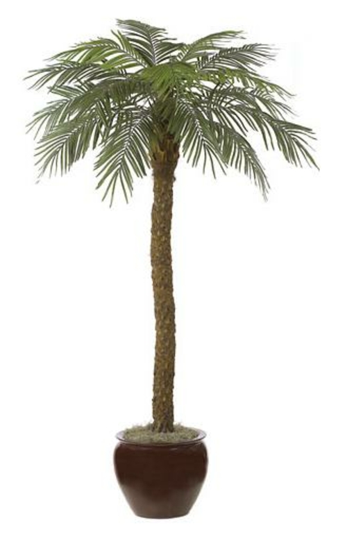 Autograph Foliages P-3602 - 8 Foot Date Palm Tree - Green