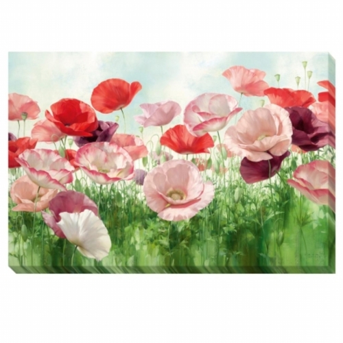 Artistic Home Gallery 1624316G Poppies Pleasure Canvas Art - 16 in.