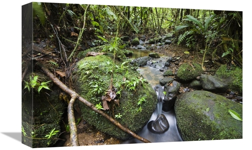 Global Gallery GCS-452677-1218-142 12 x 18 in. Creek in Mountain Rainf