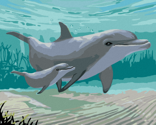 Paint by Numbers - DOLPHINS (ROBERT JOHNSON)