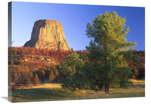 Global Gallery GCS-397162-2432-142 24 x 32 in. Devils Tower National M