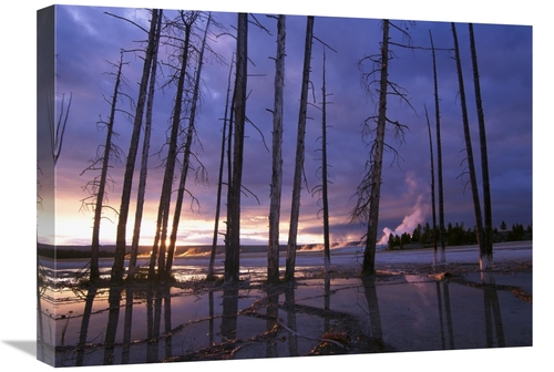 Global Gallery GCS-452051-1824-142 18 x 24 in. Dead Trees in Lower Gey