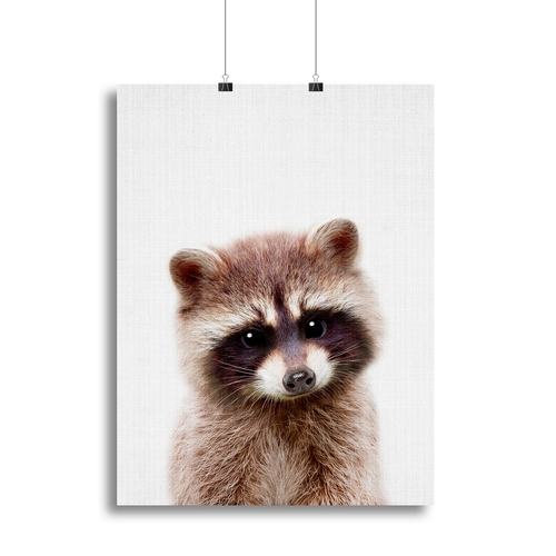 Peekaboo Raccoon Canvas Print or Poster