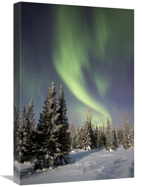 Global Gallery GCS-395412-1624-142 16 x 24 in. Northern Lights Over Bo