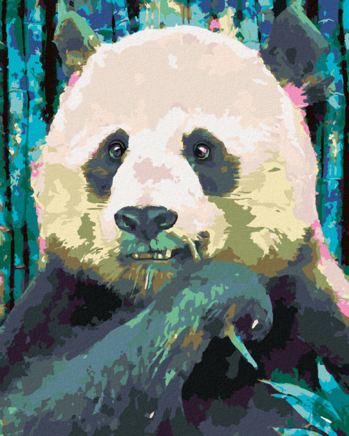 Paint by Numbers - COLOURFUL PANDA