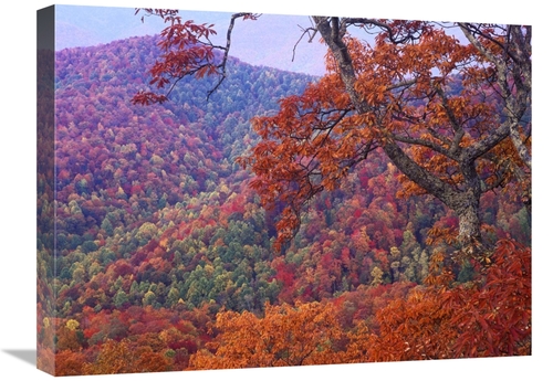 Global Gallery GCS-397021-1824-142 18 x 24 in. Blue Ridge Range with A