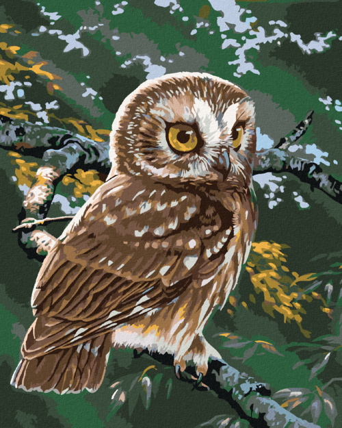 Paint by Numbers - OWL ON A BRANCH (AL AGNEW)