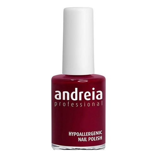 nail polish Andreia Nº 102 (14 ml)