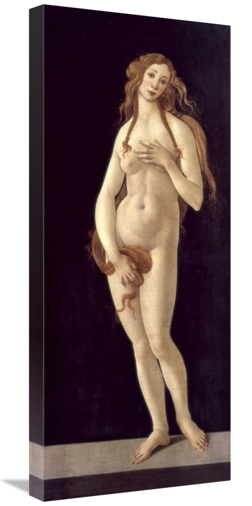 Global Gallery GCS-281753-30-142 30 in. Venus Pudica Art Print - Sandr