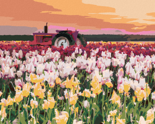 Paint by Numbers - TULIPS IN A FIELD (TED DAVIS)