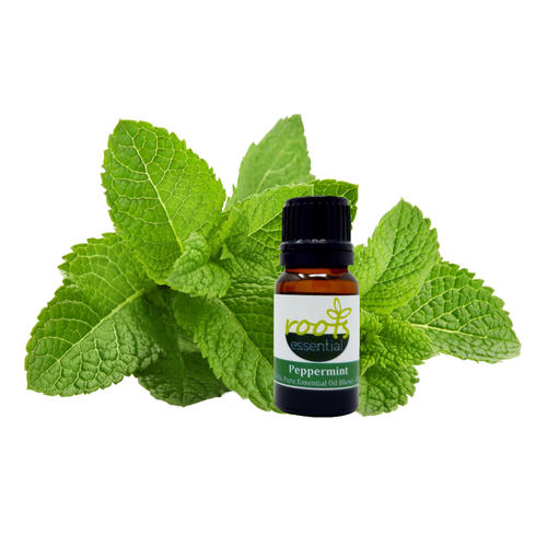 Peppermint Essential Oil 10 ml