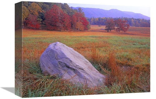 Global Gallery GCS-397173-1216-142 12 x 16 in. Boulder & Autumn Colore