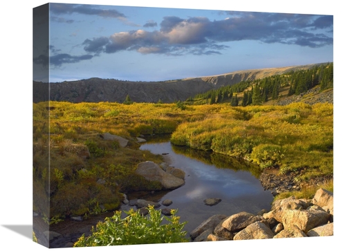 Global Gallery GCS-396425-16-142 16 in. Alpine Stream, Rollins Pas
