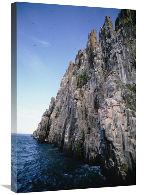 20 x 30 in. Dolomite Cliff with Guillemot Colony, East Spitsbergen