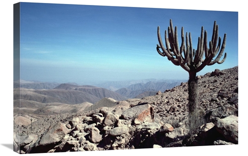 Global Gallery GCS-451082-2030-142 20 x 30 in. Atacama Desert Located 