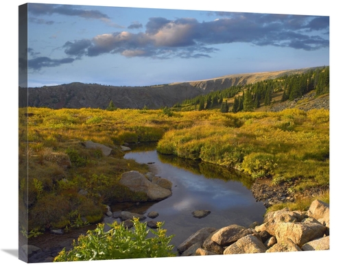 Global Gallery GCS-396425-30-142 30 in. Alpine Stream, Rollins Pas