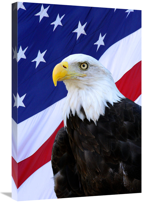 Global Gallery GCS-486524-30-142 30 in. The Patriot Art Print - Vic Sc