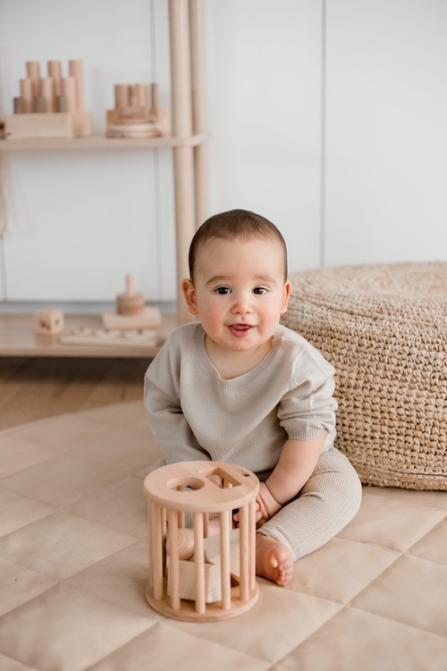 QToys Australia (USA) Roll Me Sorter