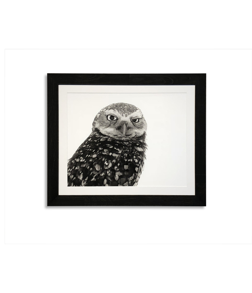 Bassett 9901-492 Burrowing Owl Framed Wall Art, - 36 x 0.75 x 30 i