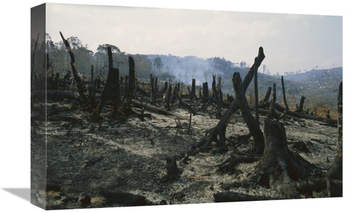 Global Gallery GCS-398529-1218-142 12 x 18 in. Slash & Burn Agricultur